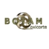 Image result for Botam Logo