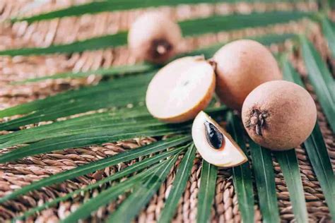 Kitchen Hacks: How To Ripen Chikoo Faster?