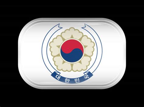 韩国flag 的图像结果
