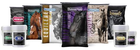 BLUEBONNET FEEDS Limited Ingredient Forage Balancer Horse Feed, 44-lb ...