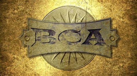 BCA Degree 的图像结果