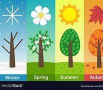 Four Seasons 的图像结果