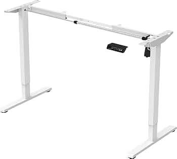 ErgoYou Electric Height Adjustable Table Motorized Ergonomic Sit Stand ...