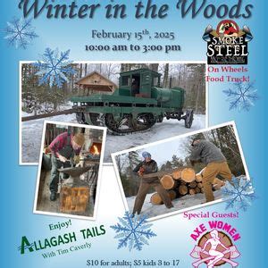 Winter in the Woods, 262 Government Road, P.O. Box 104, Bradley, ME, 15 ...