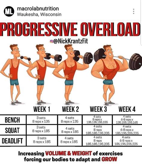 Image result for Progressive Overload Program in Training