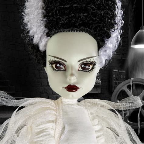 Image result for Monster High Bride of Frankenstein