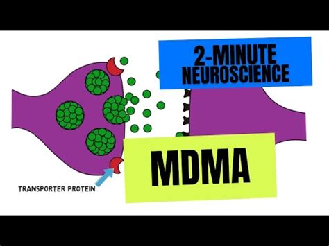 2-Minute Neuroscience: Action Potential | Encyclopedia MDPI