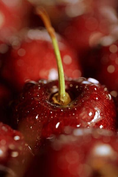 Nikon Z50II Mirrorless Camera | Nikon India