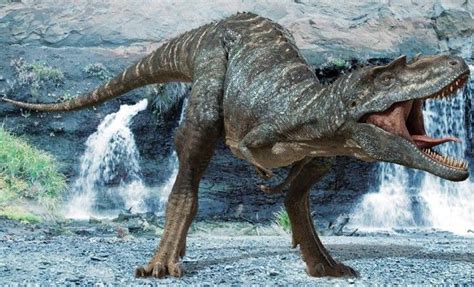Image result for Dinosaur Using Computer Picture