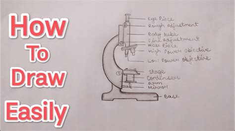 Image result for How to Draw a Microscope