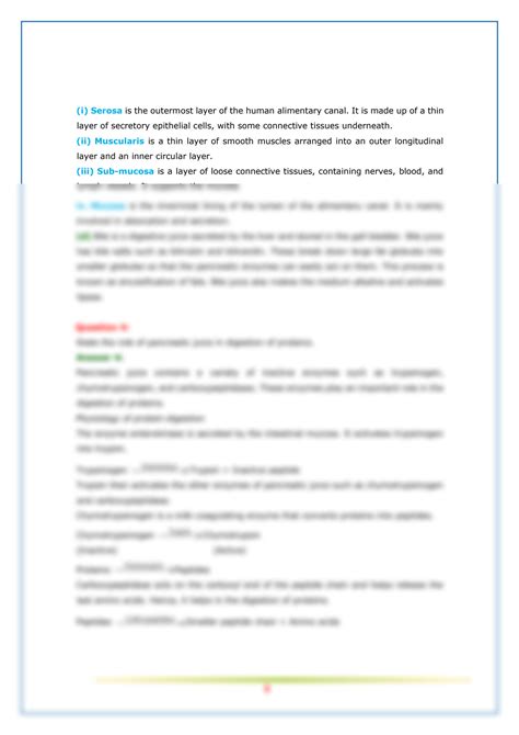 Image result for Function of Pith Class 11