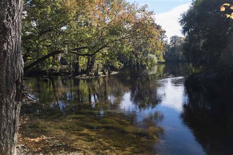 Florida Lakes and Rivers Map: Charting Aquatic Adventures