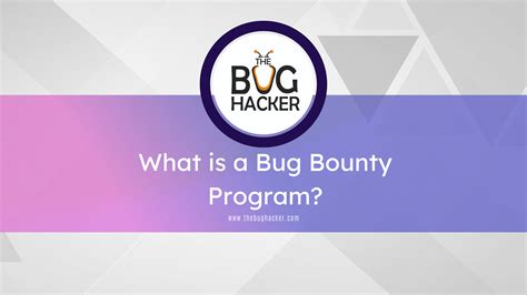 Image result for Bug bounty program Bug Bounty Hunting