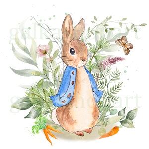 Image result for Rabbit SpO2