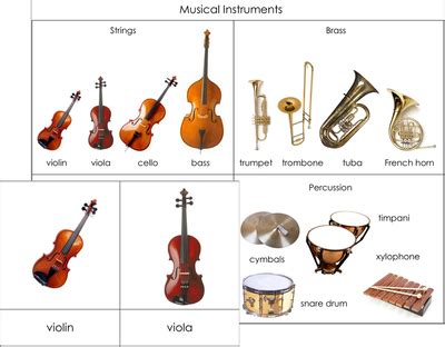 Image result for Different Types of Instruments