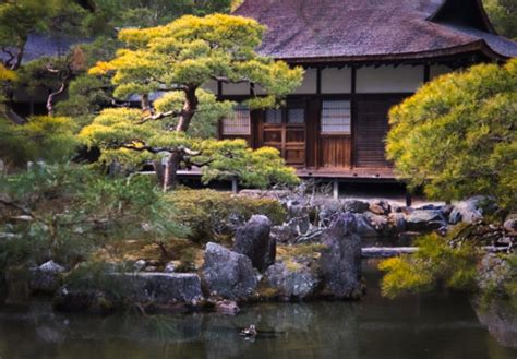 Luminar Ai Tutorials 的图像结果