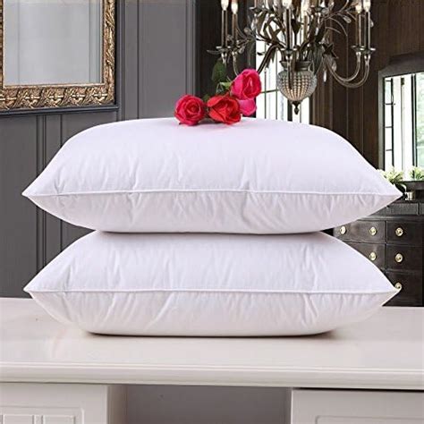 Buy Cloth Fusion Microfiber Cushion Filler, 24 x 24 Inch, White - (Set ...