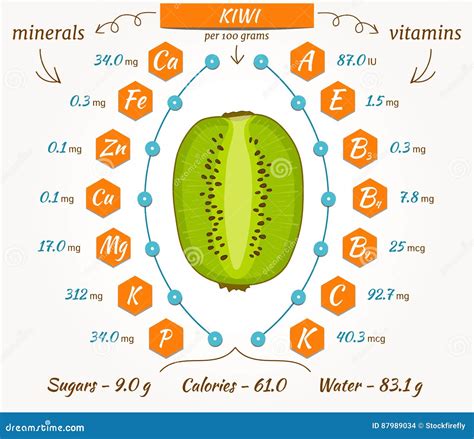 Vector kiwi infographics. stock vector. Illustration of calories - 87989034