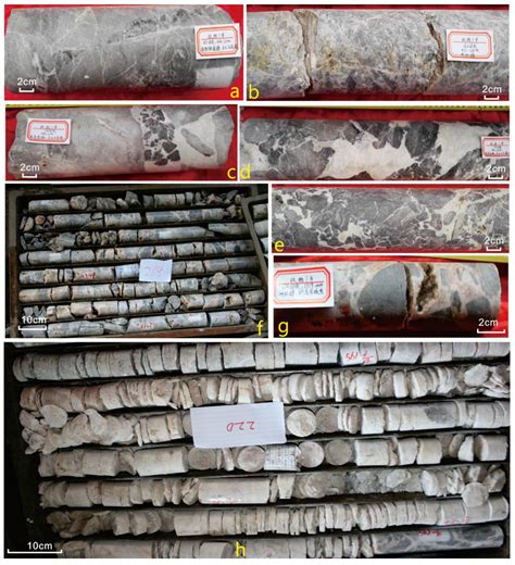 Identification and Evolution of Different Genetic Types of Deep Karst ...