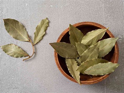 Don't Have Bay Leaves? Here Are 4 Ingredients You Can Use Instead