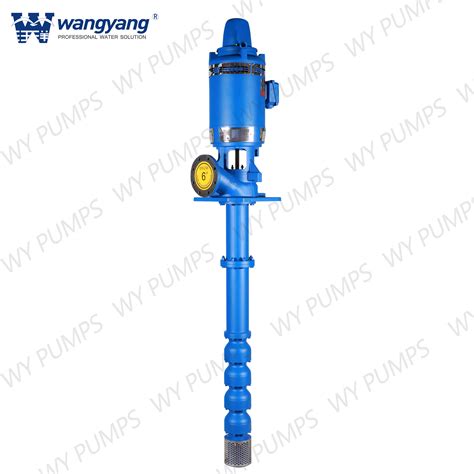 Vertical Turbine Pump from China manufacturer - wypumps