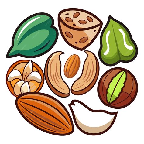 Set of different nuts clip art and Vector Design With White Background ...