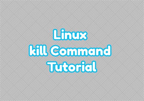 Image result for Kill Command Linux