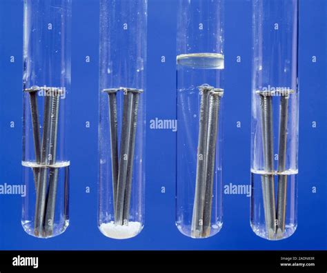 Image result for Rust Experiment