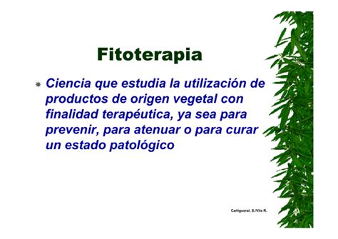 Consideraciones sobre el Uso de Fitoterapia en Arqueros