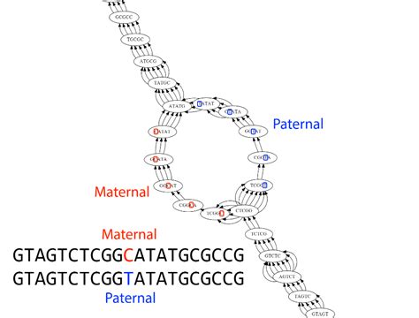 Image result for Transcriptome Assembly