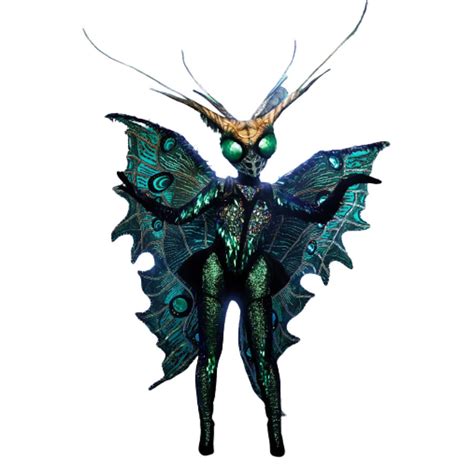 Image result for Masked Singer Butterfly Performances