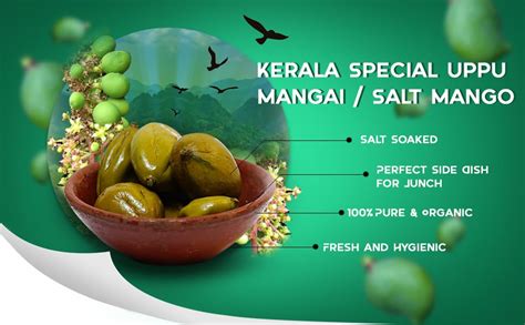WORTH 2 DEAL Kerala Special Homemade Mango In Brine|Salted Mango|Manga ...