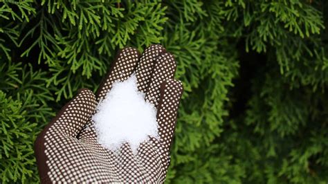 Image result for How to Test Components On a Washer Machine Control Board