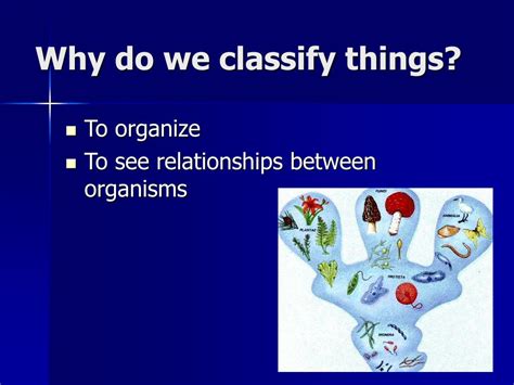 Image result for Classification Stuff