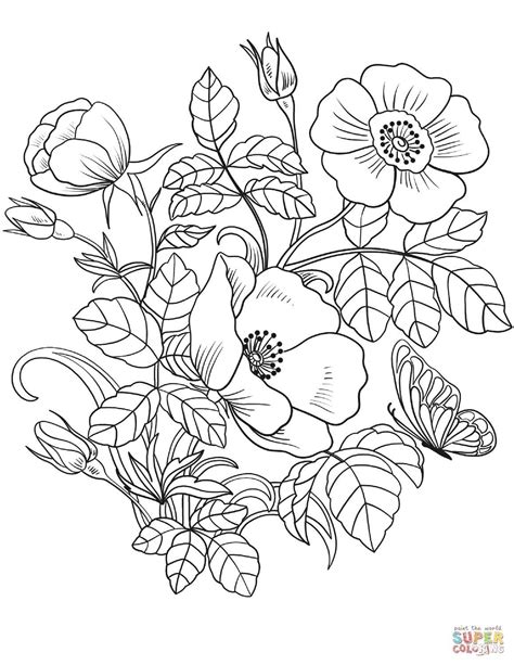 Realistic Flower Coloring Pages - Coloring Pages