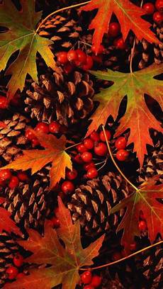 Thanksgiving Wallpaper Iphone 7 by Iphone Wallpaper Thanksgiving Tjn Beautiful Fall Thanksgiving Wallpaper Iphone 7