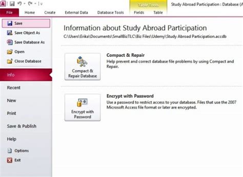 Image result for Access Tutorial 5