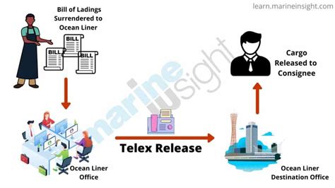 Telex Release - Everything You Wanted to Know