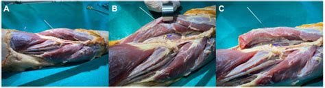 IJERPH | February-2 2022 - Browse Articles