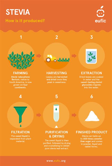 Image result for Stevia Process