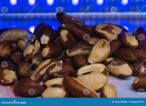 Brazil Nuts Heart Healthy Snake Close Up Shot Stock Photo - Image of healthy, closeup: 262138388