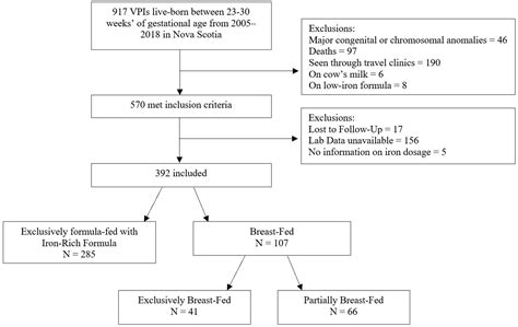 Non Breast-Milk-Fed Very Preterm Infants Are at Increased Risk of Iron ...