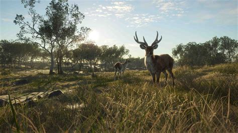 theHunter: Call of the Wild™ - Emerald Coast Australia on Steam