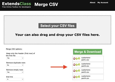 Create CSV Online 的图像结果