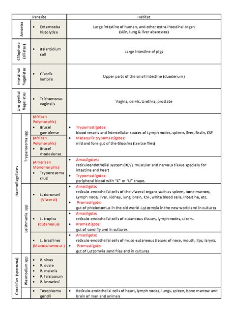 Summary practical parasitology - Parasite Habitat Amoeba Entamoeba histolytica Large intestine ...