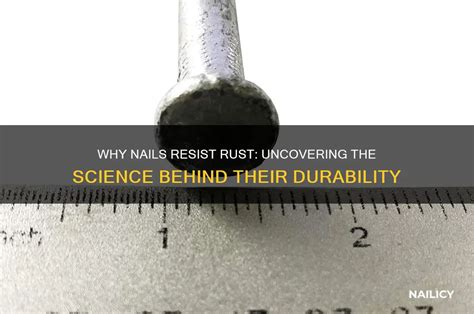 Image result for How Do Nails Rust