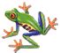 Image result for Frog Math