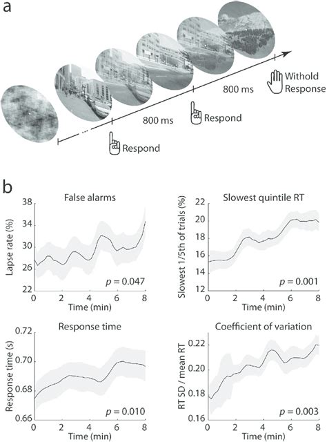 Continuous Performance Task 的图像结果
