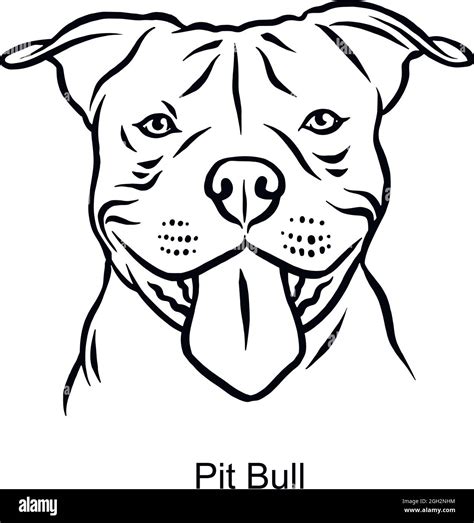 How To Draw Dog Pitbull