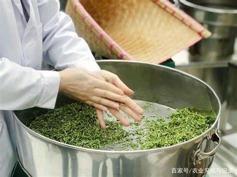 2020年江苏茶叶产业发展趋势 - 森林食品
